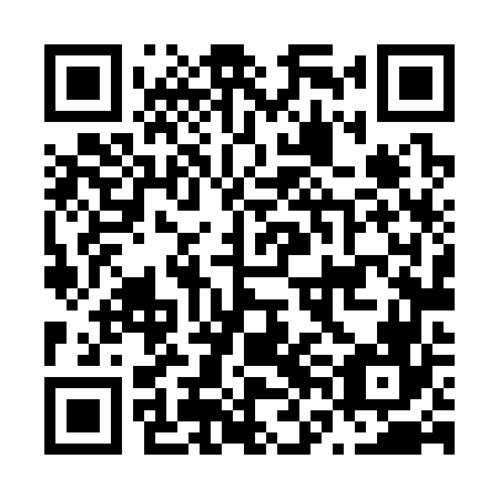 QR code for plate N6L 366