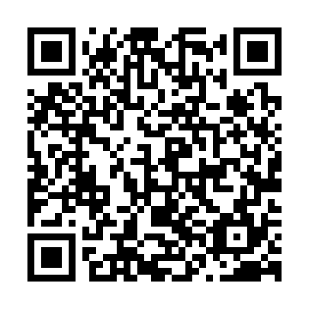 QR code for plate N6L 374