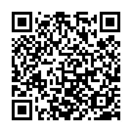 QR code for N6L401