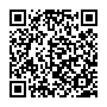 QR code for plate N6L 404