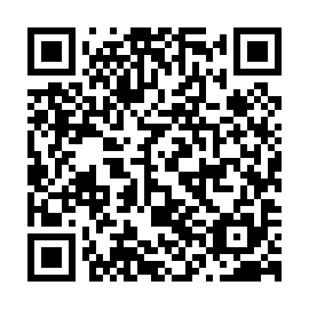 QR code for plate N6M 095