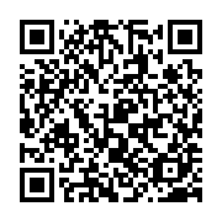 QR code for plate N6M 380