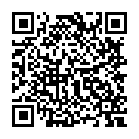 QR code for plate N6M 817