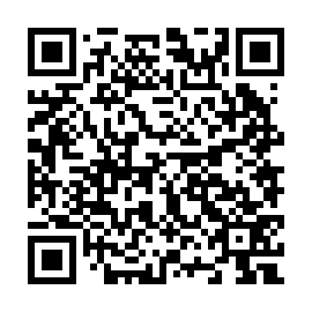 QR code for N6N 273