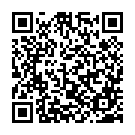 QR code for plate N6N 046
