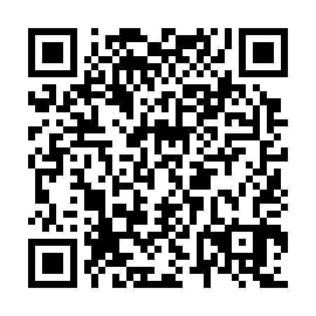 QR code for plate N6N 303