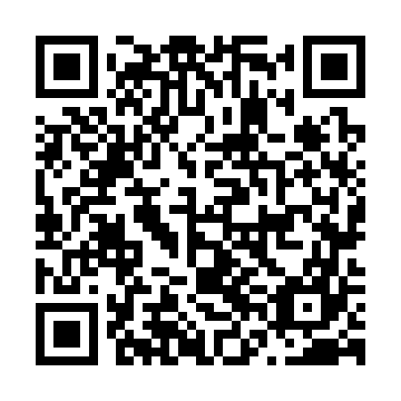QR code for plate N6N 367