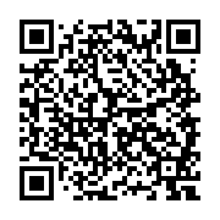 QR code for plate N6N 380