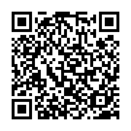 QR code for plate N6N 500