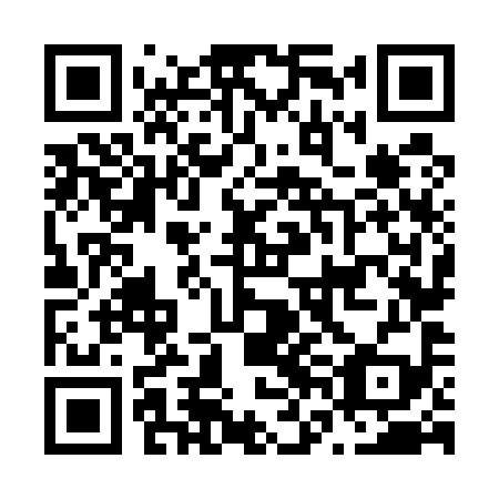 QR code for plate N6N 599