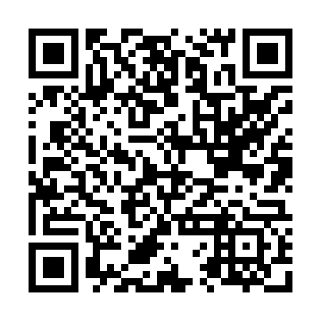 QR code for plate N6N 863