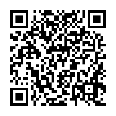 QR code for plate N6N 976