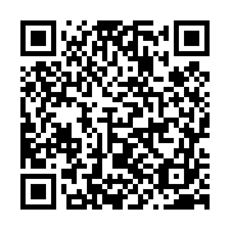 QR code for plate N6O 463