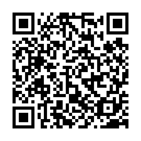 QR code for plate N6O 651