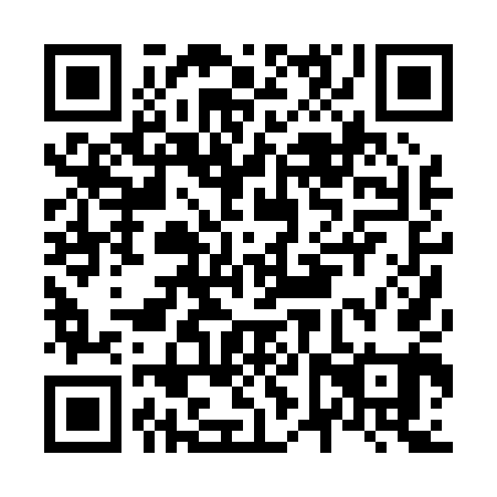 QR code for N6P 041