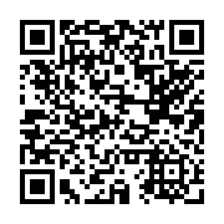QR code for N6P 219