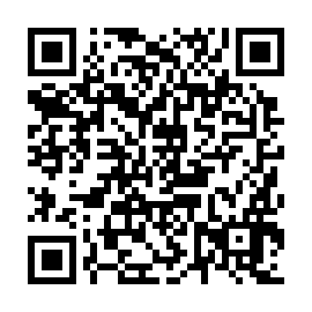 QR code for N6P 396