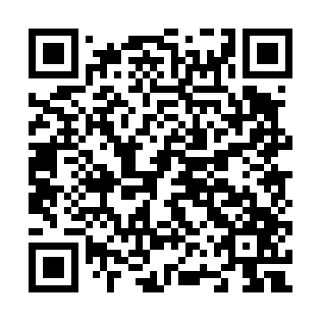 QR code for N6P 447