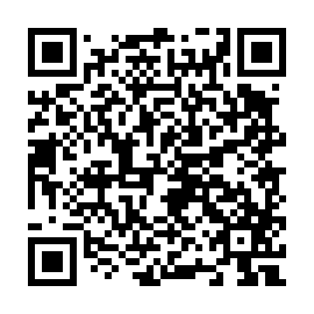 QR code for N6P 487