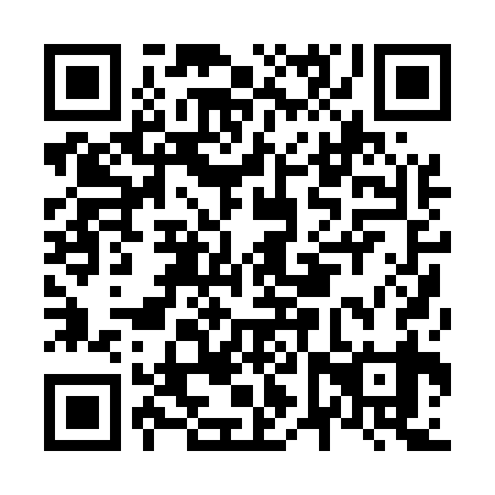 QR code for N6P 539