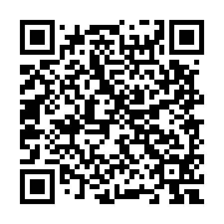 QR code for N6P 594