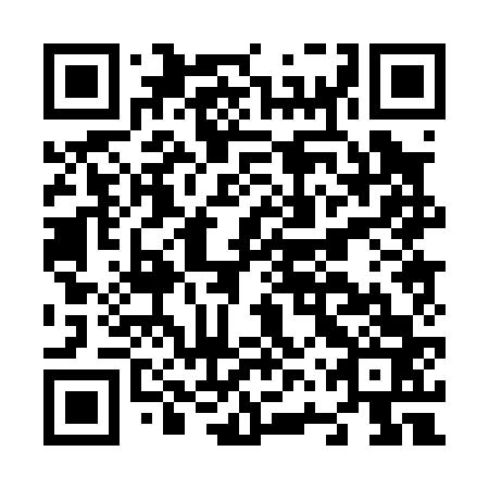 QR code for N6P063