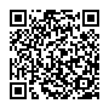 QR code for plate N6P 068
