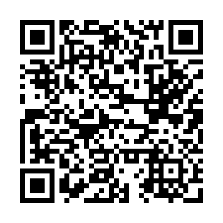 QR code for plate N6P 132