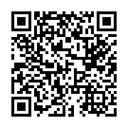 QR code for N6P161