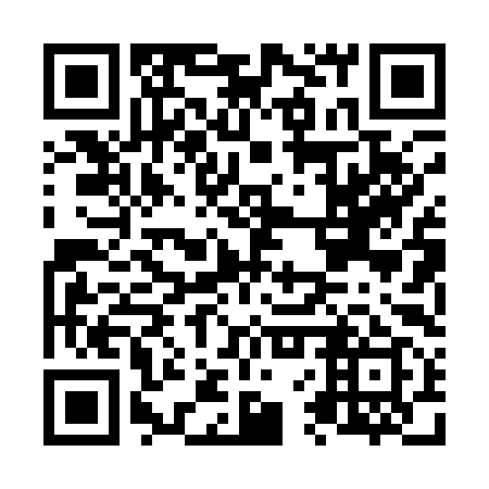 QR code for plate N6P 199