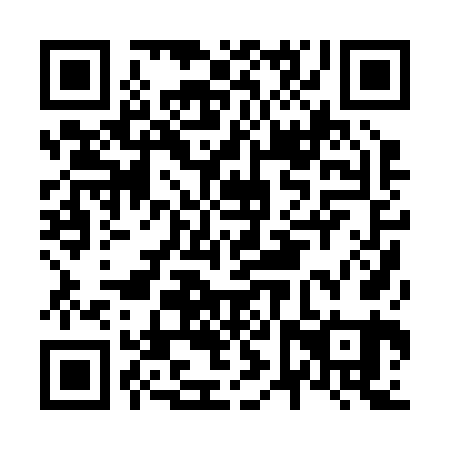 QR code for N6P261