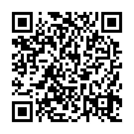 QR code for plate N6P 338