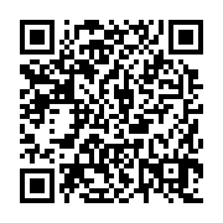 QR code for N6P384