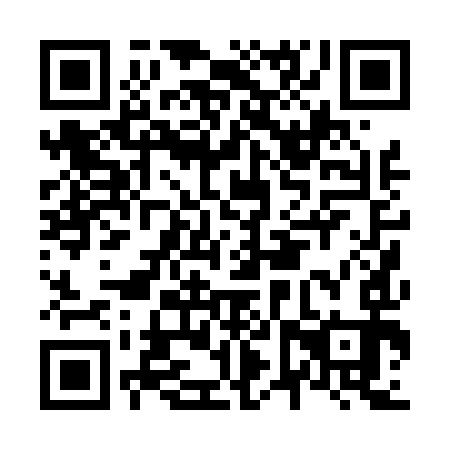 QR code for N6P493