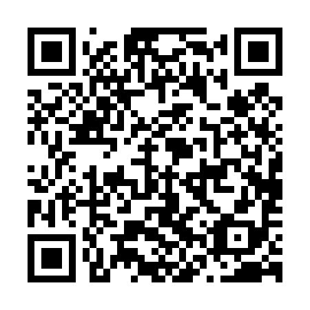 QR code for N6P498