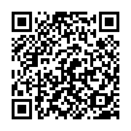 QR code for N6Q 038