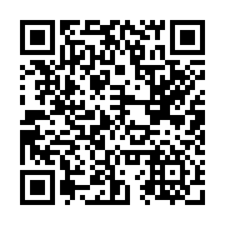 QR code for N6Q 317