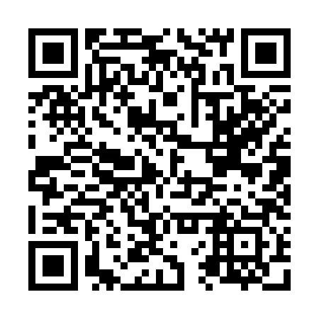 QR code for N6Q 383