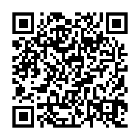 QR code for plate N6Q 100