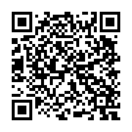 QR code for N6Q446