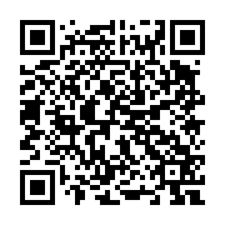 QR code for N6Q463