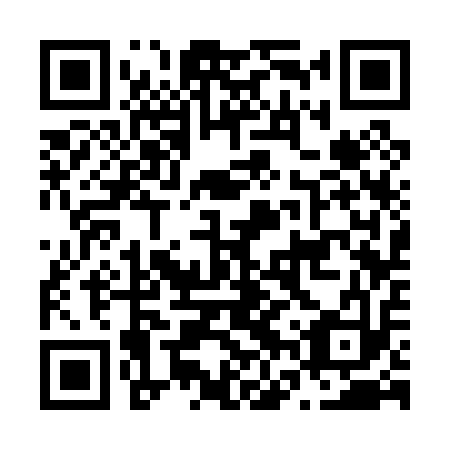QR code for N6S 013