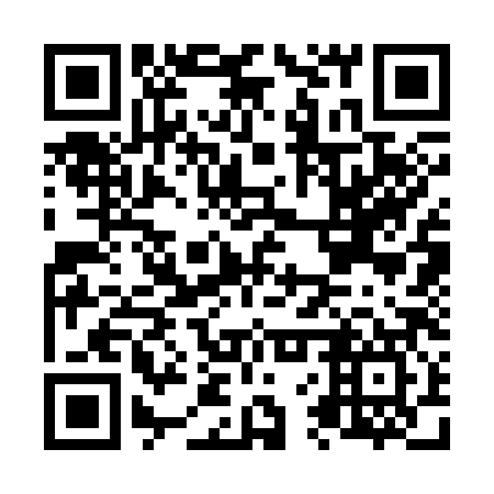 QR code for N6S 387