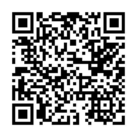 QR code for plate N6S 687