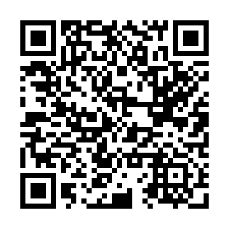 QR code for N6T 313