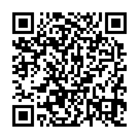 QR code for N6T371