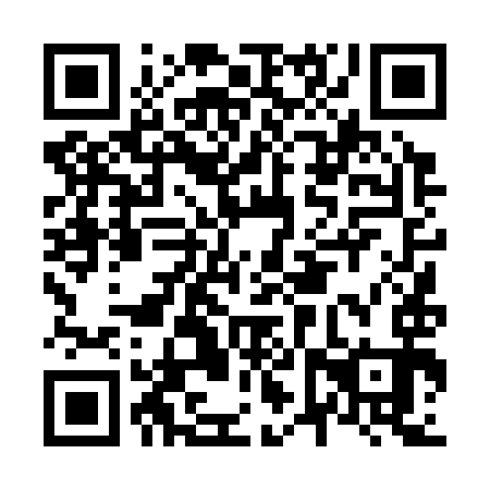 QR code for N6T393