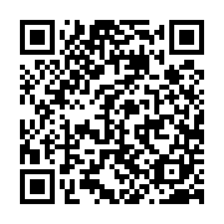 QR code for N6T541