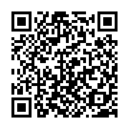 QR code for N6U 298