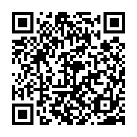QR code for N6U 533